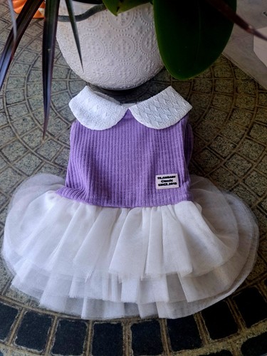 Ambaby cute puppy - , dress